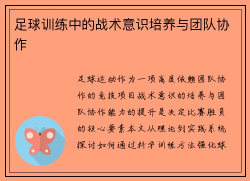 足球训练中的战术意识培养与团队协作