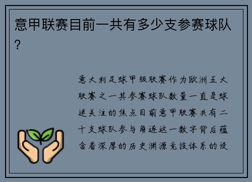 意甲联赛目前一共有多少支参赛球队？